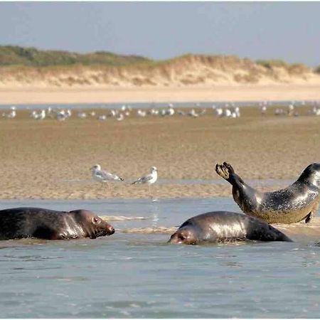 Escapade Berckoise, Berck Plage Eksteriør billede