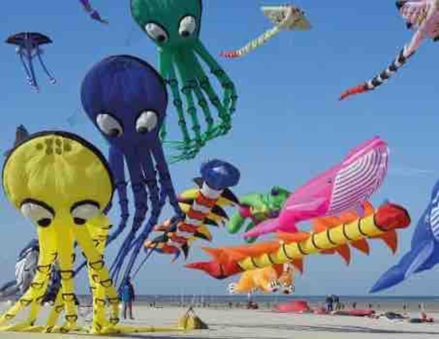 Escapade Berckoise, Berck Plage Eksteriør billede